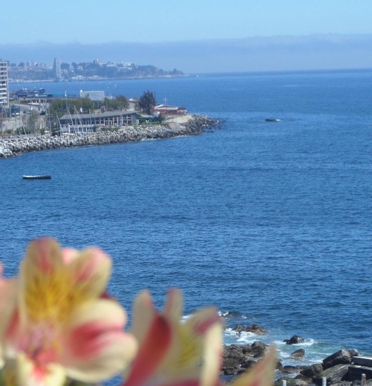 Domus Mare Hotel 비냐델마르 객실 사진